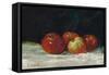 Red Apples, 1872-Gustave Courbet-Framed Stretched Canvas