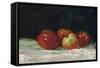 Red Apples, 1872-Gustave Courbet-Framed Stretched Canvas