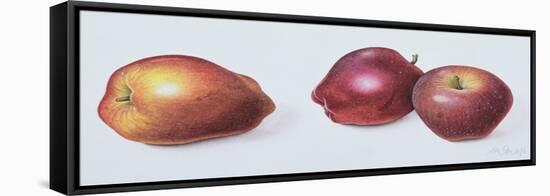 Red Apples, 1996-Margaret Ann Eden-Framed Stretched Canvas