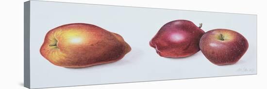 Red Apples, 1996-Margaret Ann Eden-Stretched Canvas