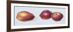 Red Apples, 1996-Margaret Ann Eden-Framed Giclee Print