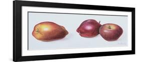 Red Apples, 1996-Margaret Ann Eden-Framed Giclee Print