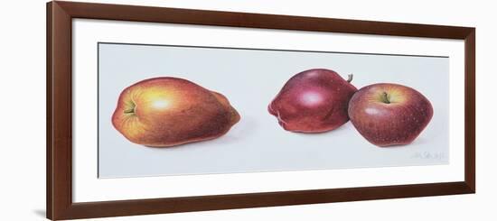 Red Apples, 1996-Margaret Ann Eden-Framed Giclee Print