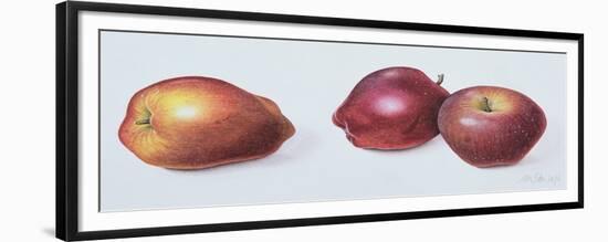 Red Apples, 1996-Margaret Ann Eden-Framed Giclee Print