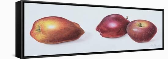 Red Apples, 1996-Margaret Ann Eden-Framed Stretched Canvas