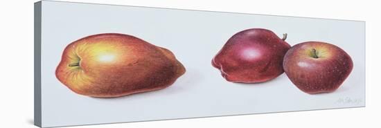 Red Apples, 1996-Margaret Ann Eden-Stretched Canvas