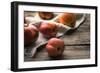 Red Apples and Towel on the Old Boards Horizontal-Denis Karpenkov-Framed Photographic Print