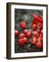Red Apples Falling out of a Red Basket-Per Ranung-Framed Photographic Print