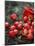 Red Apples Falling out of a Red Basket-Per Ranung-Mounted Photographic Print