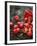 Red Apples Falling out of a Red Basket-Per Ranung-Framed Photographic Print