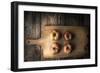 Red Apples on a Cutting Board Horizontal-Denis Karpenkov-Framed Photographic Print