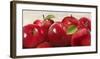 Red Apples-Remo Barbieri-Framed Art Print