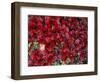 Red Arctic Tundra, Gates of the Arctic National Park, Alaska, USA-Paul Souders-Framed Photographic Print