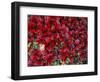 Red Arctic Tundra, Gates of the Arctic National Park, Alaska, USA-Paul Souders-Framed Photographic Print