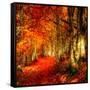 Red Atmosphere There-Philippe Sainte-Laudy-Framed Stretched Canvas