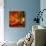 Red Atmosphere There-Philippe Sainte-Laudy-Photographic Print displayed on a wall