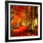 Red Atmosphere There-Philippe Sainte-Laudy-Framed Photographic Print