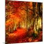 Red Atmosphere There-Philippe Sainte-Laudy-Mounted Photographic Print