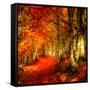 Red Atmosphere There-Philippe Sainte-Laudy-Framed Stretched Canvas