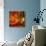 Red Atmosphere There-Philippe Sainte-Laudy-Stretched Canvas displayed on a wall