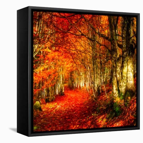 Red Atmosphere There-Philippe Sainte-Laudy-Framed Stretched Canvas