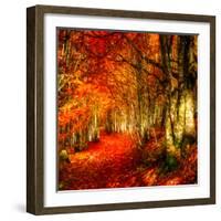 Red Atmosphere There-Philippe Sainte-Laudy-Framed Photographic Print