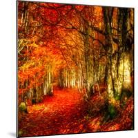 Red Atmosphere There-Philippe Sainte-Laudy-Mounted Photographic Print