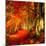 Red Atmosphere There-Philippe Sainte-Laudy-Mounted Photographic Print