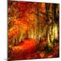 Red Atmosphere There-Philippe Sainte-Laudy-Mounted Photographic Print