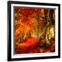 Red Atmosphere There-Philippe Sainte-Laudy-Framed Photographic Print