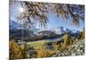 Red Autumn Larches Hide the Sun by Lake Sils. Engadine. Switzerland-ClickAlps-Mounted Photographic Print