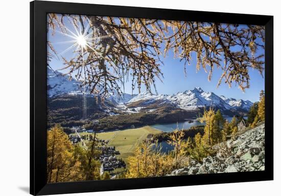 Red Autumn Larches Hide the Sun by Lake Sils. Engadine. Switzerland-ClickAlps-Framed Photographic Print