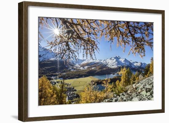 Red Autumn Larches Hide the Sun by Lake Sils. Engadine. Switzerland-ClickAlps-Framed Photographic Print