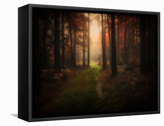 Red Autumn-Philippe Manguin-Framed Stretched Canvas