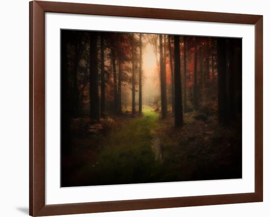 Red Autumn-Philippe Manguin-Framed Photographic Print