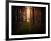 Red Autumn-Philippe Manguin-Framed Photographic Print