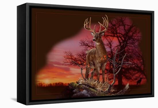 Red Autumn-Gordon Semmens-Framed Stretched Canvas