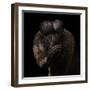 Red-Backed Bearded Saki Portrait - Chiropotes Chiropotes-Mathilde Guillemot-Framed Giclee Print