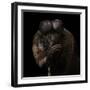 Red-Backed Bearded Saki Portrait - Chiropotes Chiropotes-Mathilde Guillemot-Framed Giclee Print