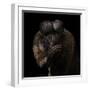 Red-Backed Bearded Saki Portrait - Chiropotes Chiropotes-Mathilde Guillemot-Framed Giclee Print