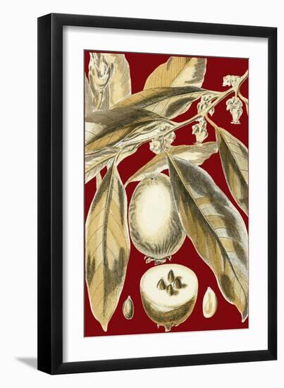 Red Background Tropical II-null-Framed Art Print