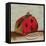 Red Bag-Anna Polanski-Framed Stretched Canvas