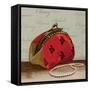 Red Bag-Anna Polanski-Framed Stretched Canvas