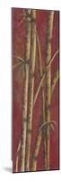 Red Bamboo I-Patricia Pinto-Mounted Premium Giclee Print