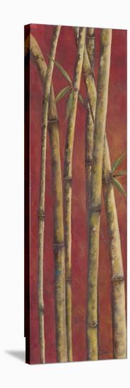 Red Bamboo II-Patricia Pinto-Stretched Canvas