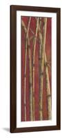 Red Bamboo II-Patricia Pinto-Framed Art Print