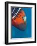 Red-Banded Wrasse (Cheilinus Fasciatus), Cairns, Queensland, Australia, Pacific-Louise Murray-Framed Photographic Print