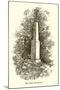 Wood Mount