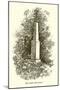 Wood Mount