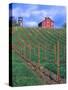 Red Barn Above Vineyard, Dry Creek Valley, California, USA-John Alves-Stretched Canvas